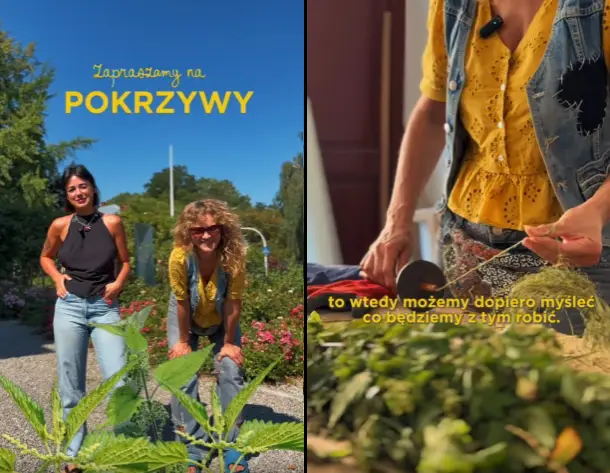 Poszukiwanie wolontariuszy do projektu artystycznego w Bielsku-Białej