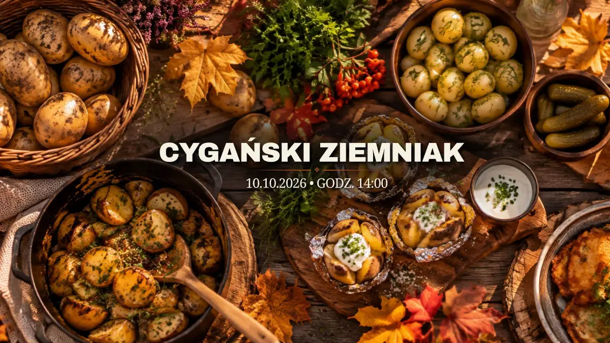 Cygański Ziemniak w Mikuszowicach Śląskich