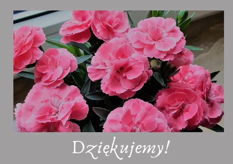 Dzień Ratownictwa Medycznego – 13 października