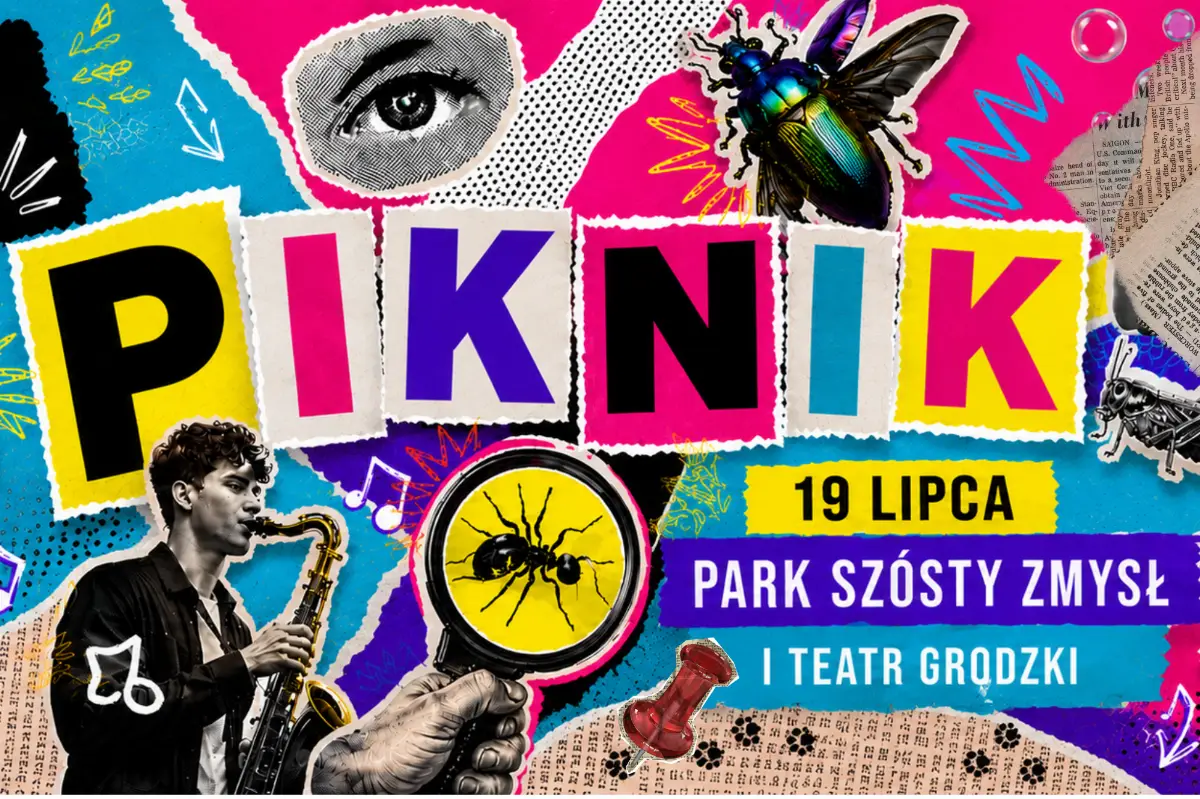 Piknik Równych Radości w Bielsku-Białej