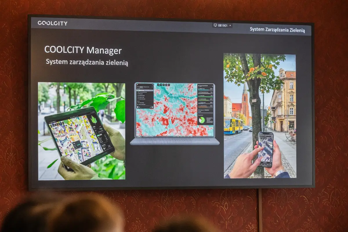 Rozpoczęcie prac nad Mapą Drzew w Bielsku-Białej