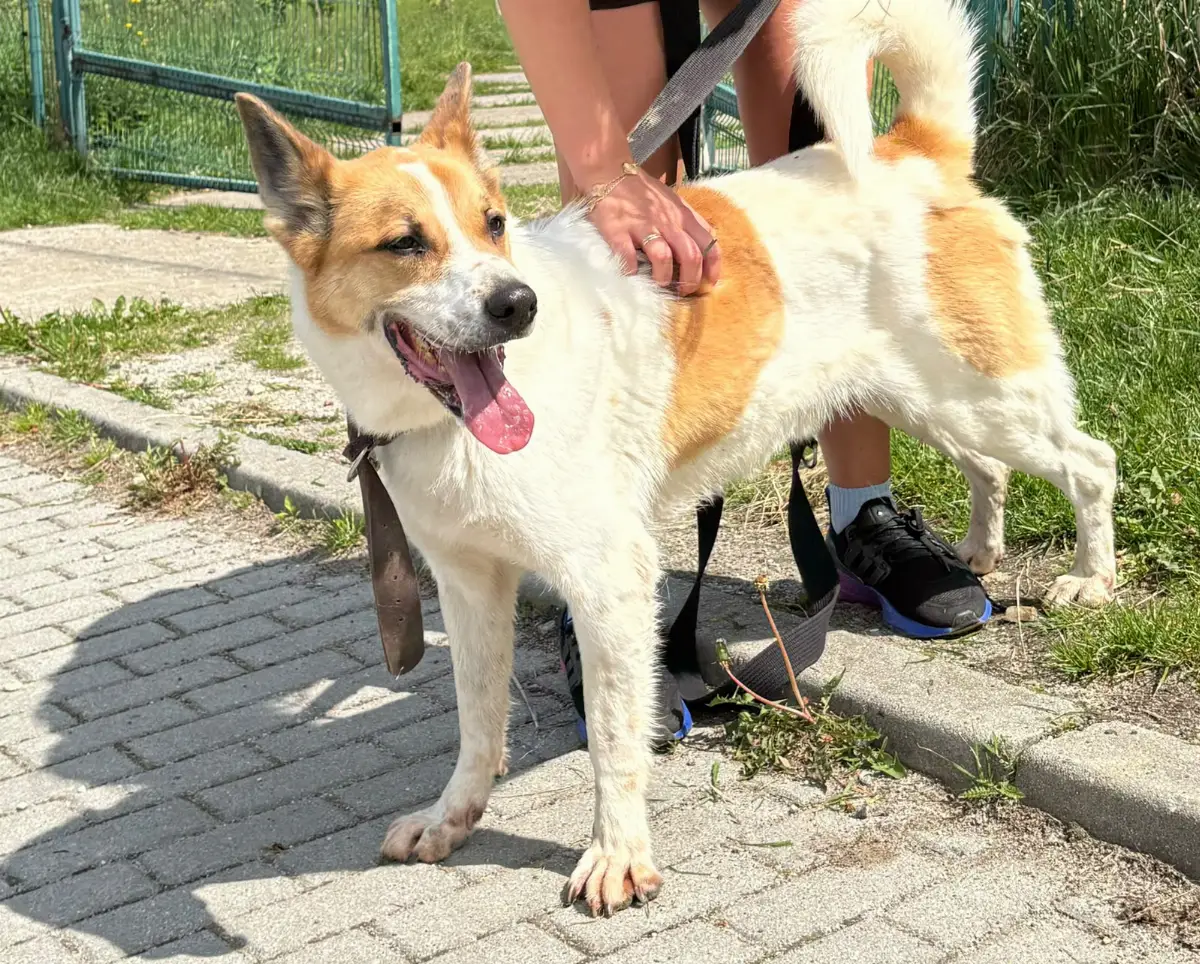 Kampania 'Pupilovy Stok' w Centrum Sarni Stok