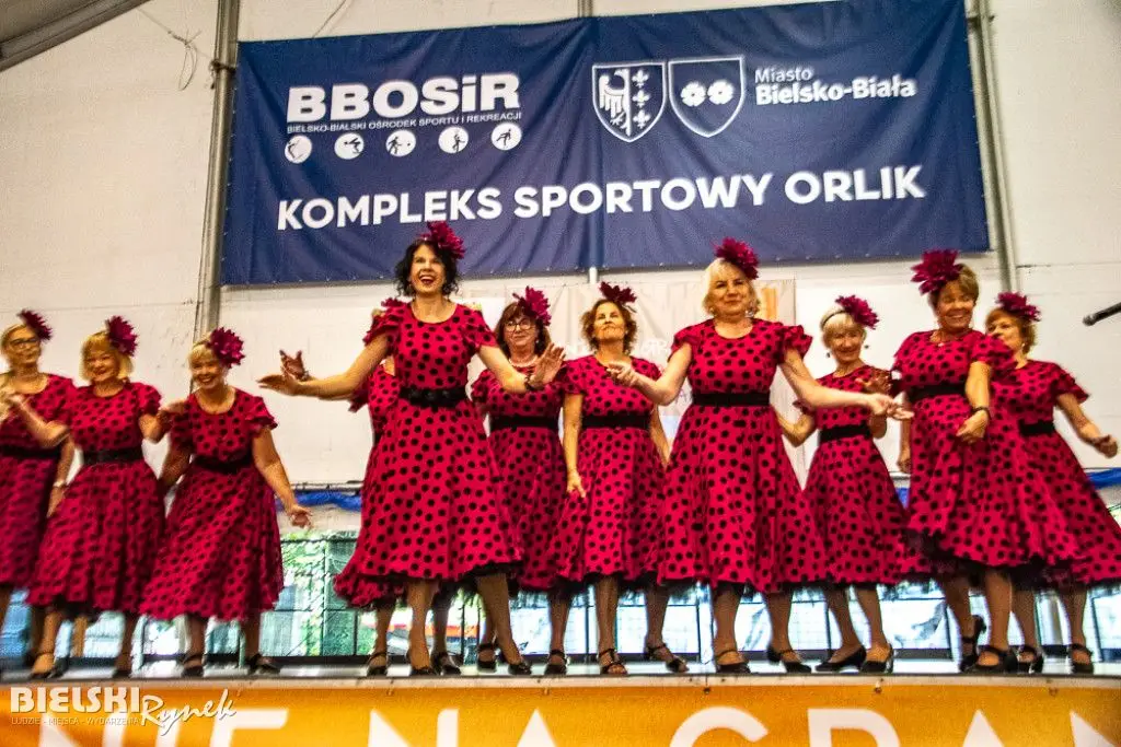 Seniorzy z Polski, Czech i Słowacji spotkali się w Bielsku-Białej