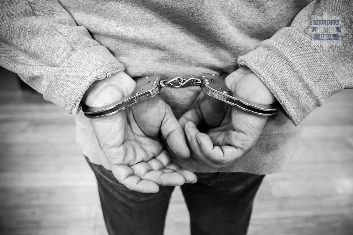 Trzymiesięczny areszt dla mężczyzny podejrzanego o pobicie mieszkańca w Bielsku-Białej